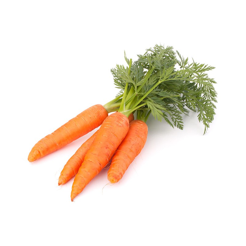 Zanahoria con hojas